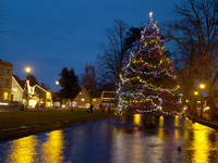 Christmas lights on a tree in the river Windrush at Bourton-on-the-Water